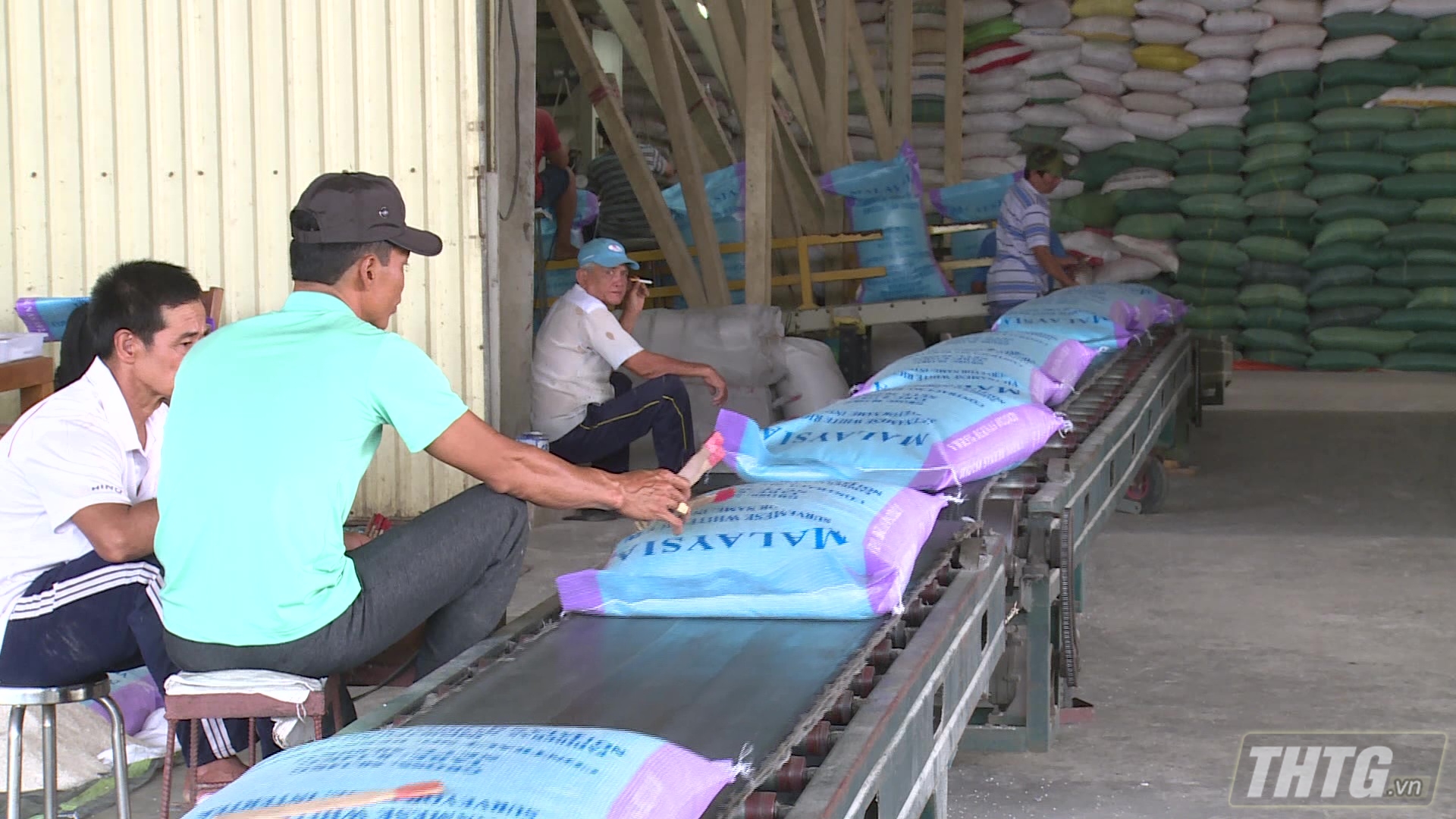 The amount of rice reserve is listed at enterprises in the province to supply enough demand for both domestic market and export. Photo: Le Thi