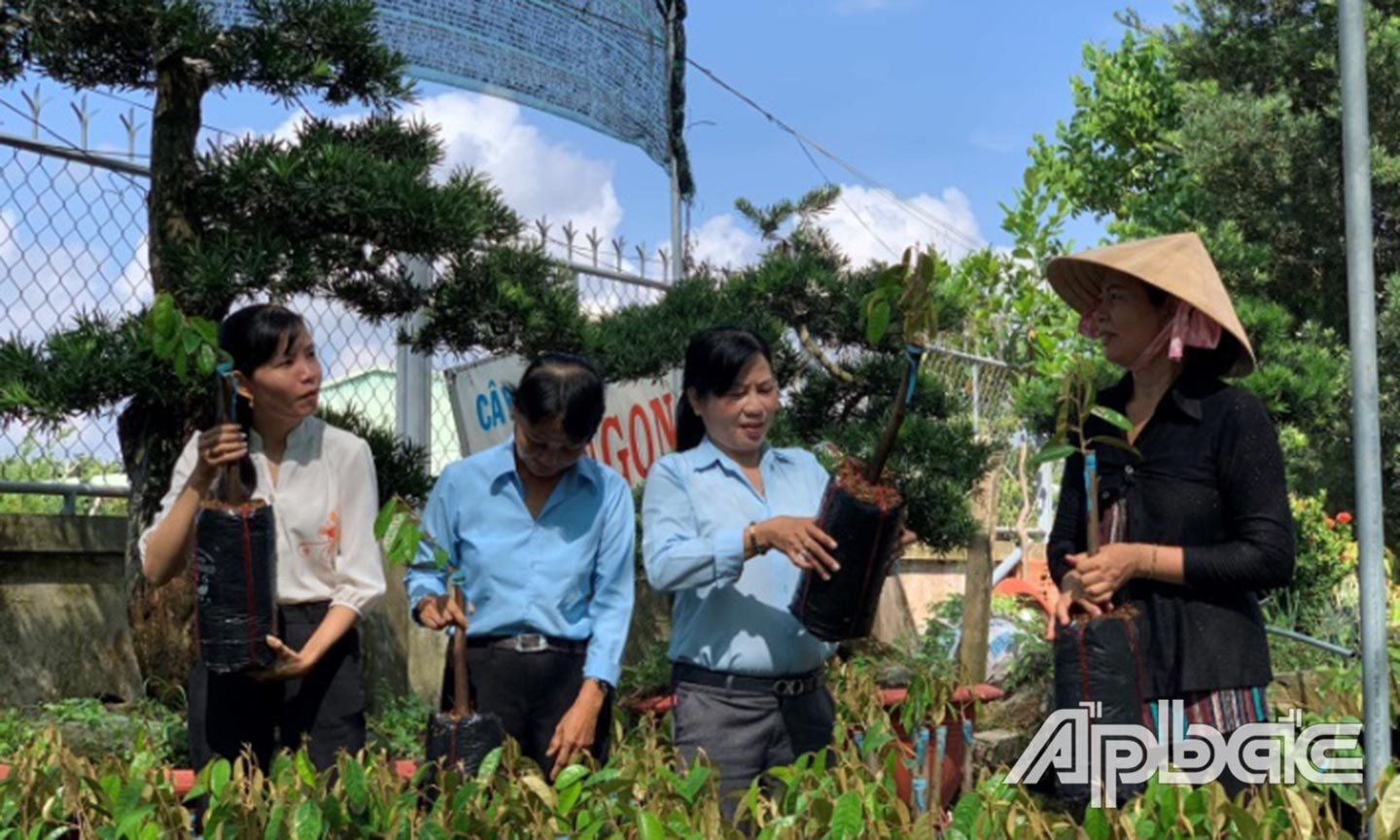 Chị Nga (bìa phải) khởi nghiệp thành công với mô hình trồng và bán cây giống.