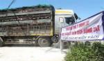 Rising price of pigs yields expansion across the board