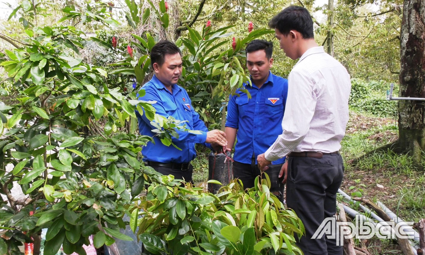 Anh Hiếu (bìa trái) trao đổi với đoàn viên về mô hình  kinh tế hiệu quả.