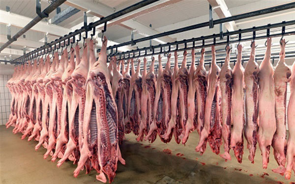 Pig carcasses hang at a slaughterhouse Demand for livestock products is expected to rise over the next ten years. — Photo thoibaokinhdoanh.vn