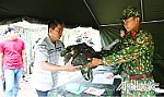 Diễn tập quân sự