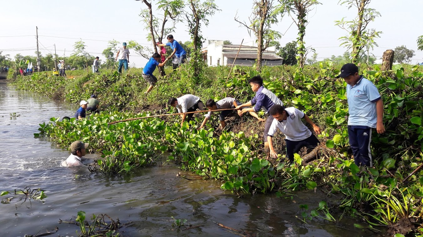 Các bạn Đoàn viên thanh niên ra quân vớt lục bình 