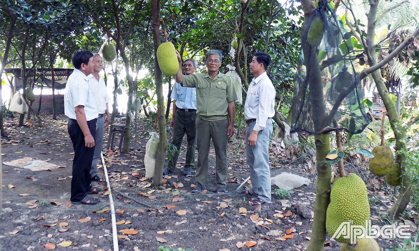 Ông Lê Văn Thông (thứ hai bên phải), hội viên CCB được Chi hội CCB ấp Long Phước hỗ trợ vốn, phát triển kinh tế, vươn lên thoát nghèo. 