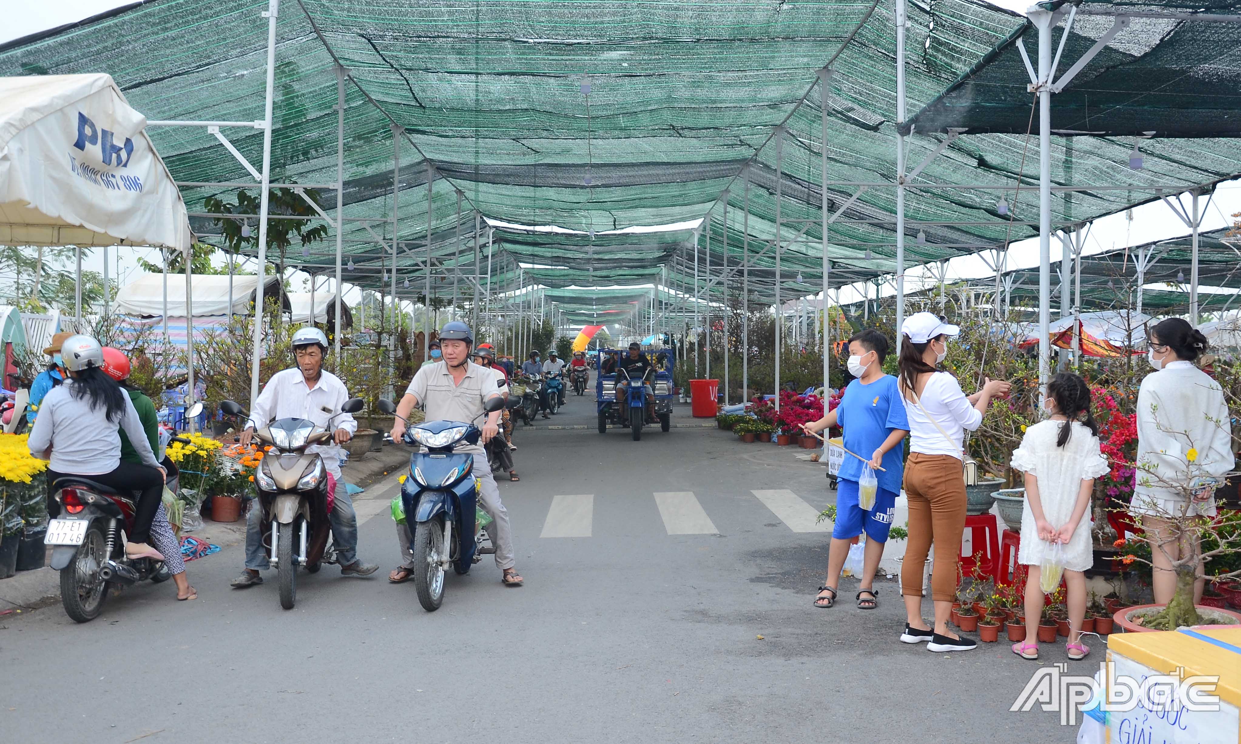 Năm nay, Chợ hoa Xuân Tân Sửu TP. Mỹ Tho kém nhộn nhịp hơn năm trước.