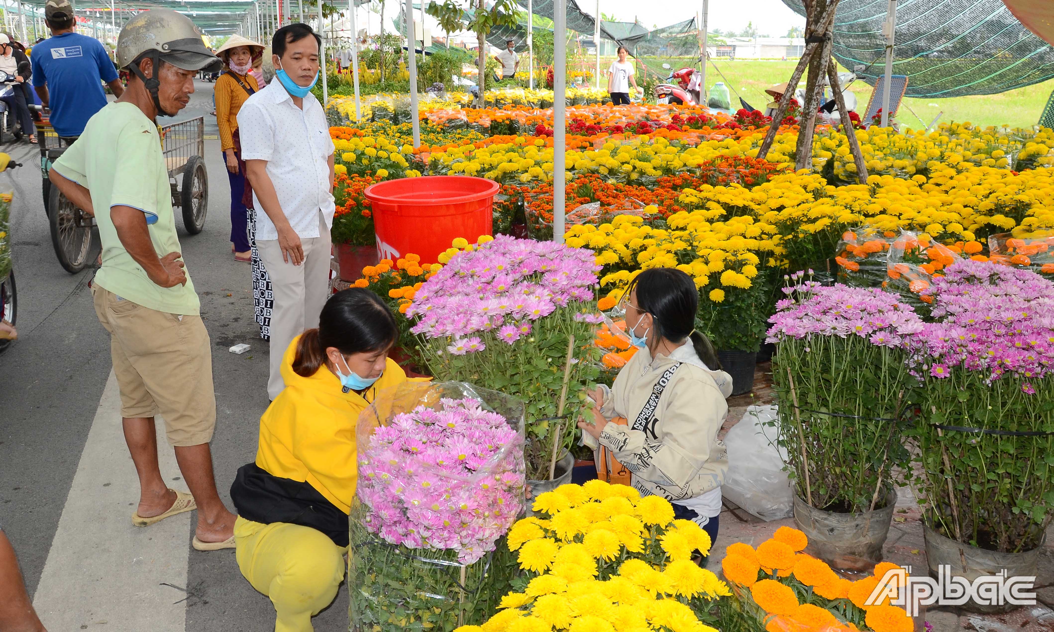 Sức mua hoa, kiểng đang tăng dần.