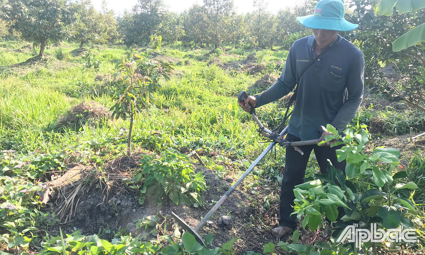 Năm nay, nhờ tỉnh chủ động đắp các đập thép ngăn mặn, trữ ngọt nên hoạt động sản xuất nông nghiệp được đảm bảo.