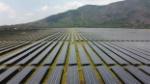 Vietnam could lead SE in renewable energy development: German newspaper