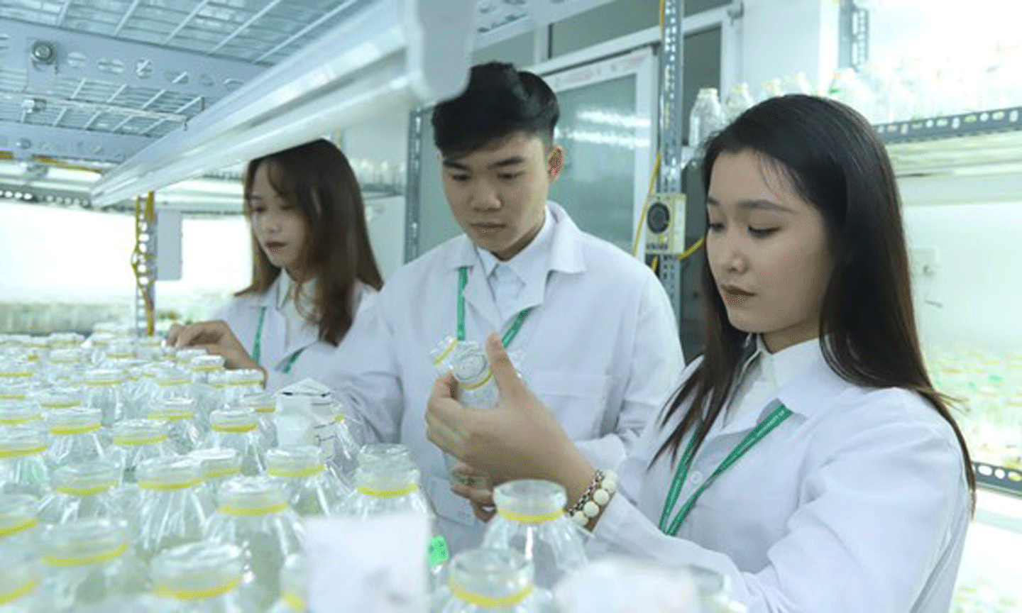 Sinh viên Đại học Nông nghiệp. Ảnh: QUANG PHÚC