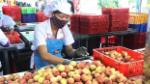 Vietnam sees surge in farm produce exports to China