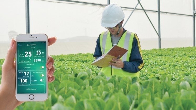 The app is expected to help farmers know exactly which pests are causing diseases to their plants.