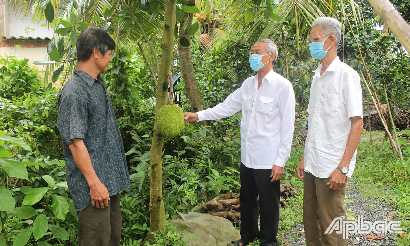 Hội NNCĐDC xã Thanh Hòa hướng dẫn cho hộ NNCĐDC chăm sóc cây mít.