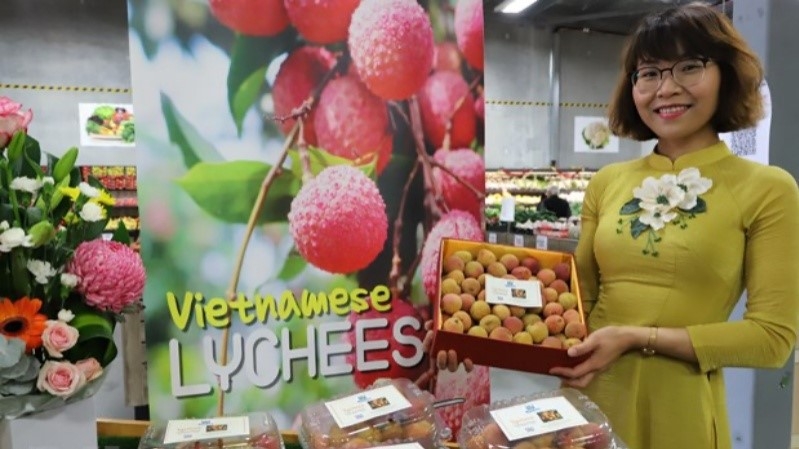 One kilogramme of Vietnamese fresh lychees was sold for AUD3,000 (US$2,254) at a special auction in Australia. (Photo: VNA)