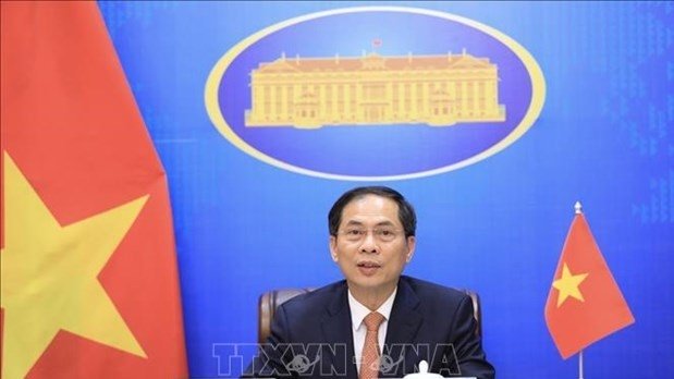 Minister of Foreign Affairs Bui Thanh Son (Photo: VNA).