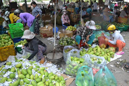 Chợ trái cây phường 4 là chợ đầu mối lớn chuyên cung cấp trái cây cho các địa phương trong và ngoài tỉnh.