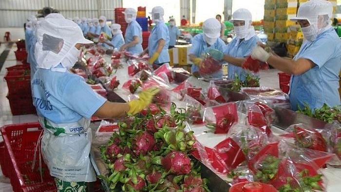 Fruit packed for export (Representative image/VNA).