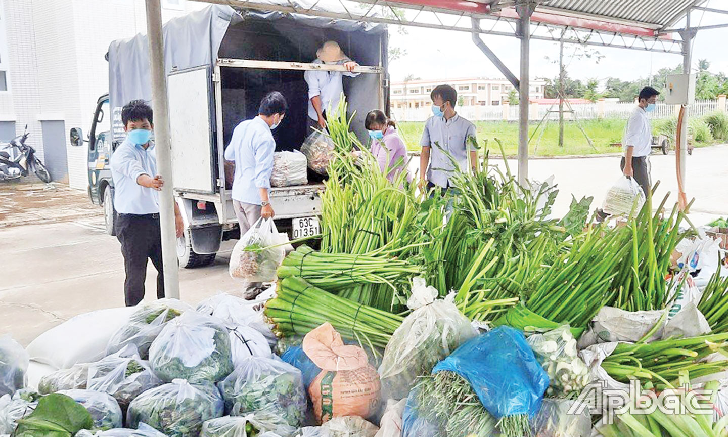 MTTQ từ huyện đến cơ sở có nhiều hoạt động thiết thực hỗ trợ tiếp tế lương thực, thực phẩm cho người dân khó khăn, bị ảnh hưởng do dịch Covid-19.