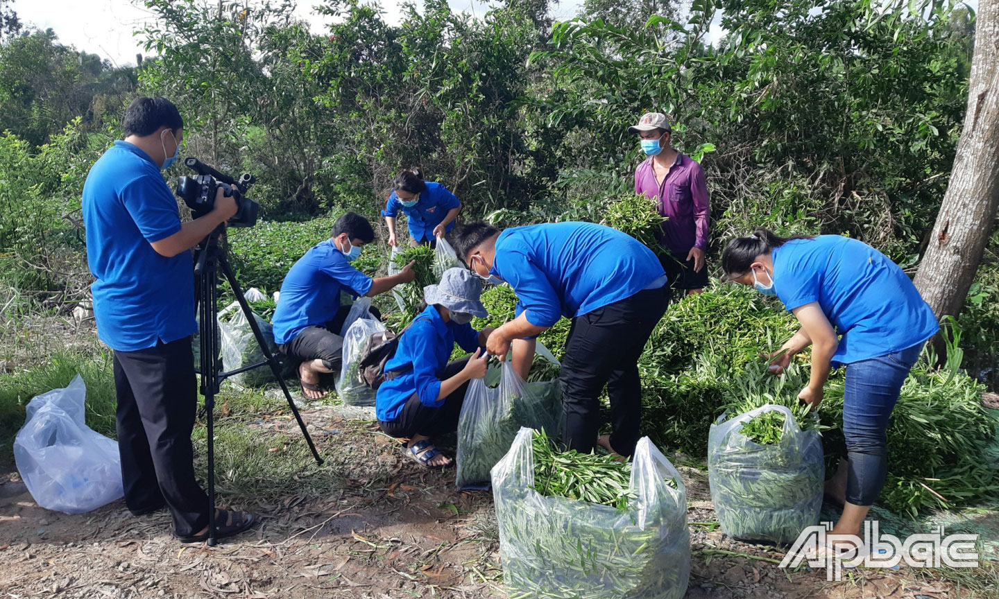 Phóng viên, phát thanh viên Đài Mỹ Tho tích cực tuyên truyền phòng, chống dịch Covid-19.