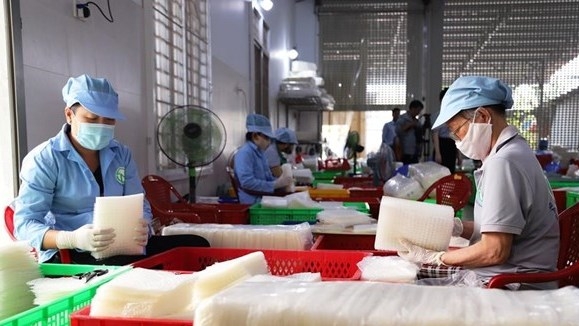 At a production facility in Tay Ninh (Photo: VNA).