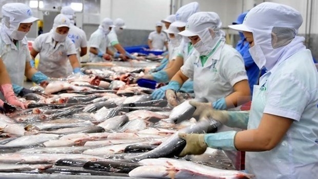 Tra fish export is expected to to hit 1.54 billion USD in 2021. (Photo: VNA).