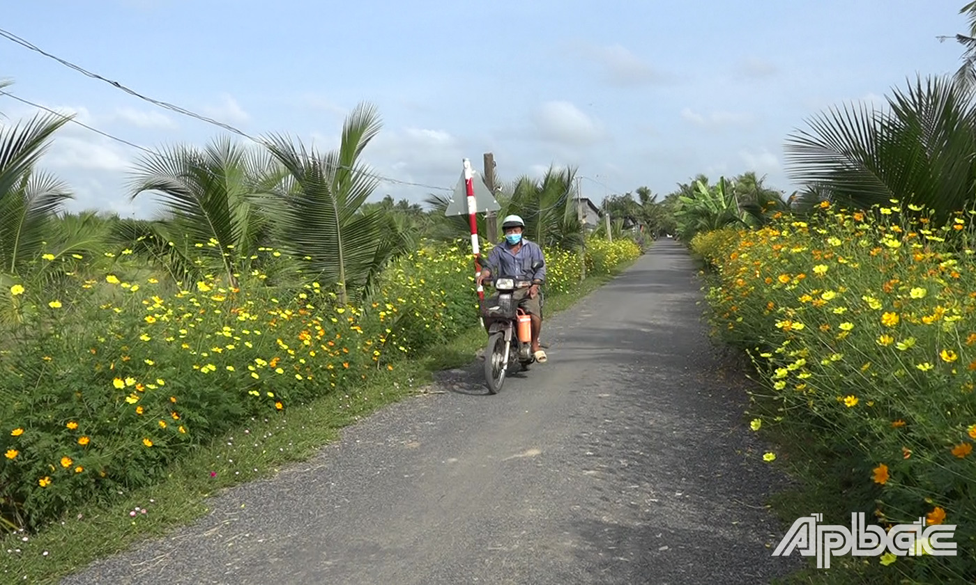 tuyến đường hoa 