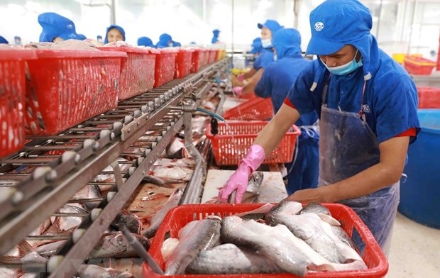 Workers at a tra fish processing factory (Photo: VNA).