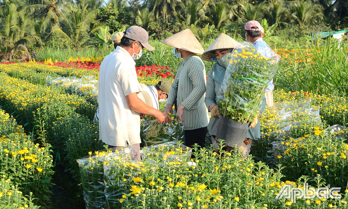 Hoa tết hút hàng vào giờ cuối.