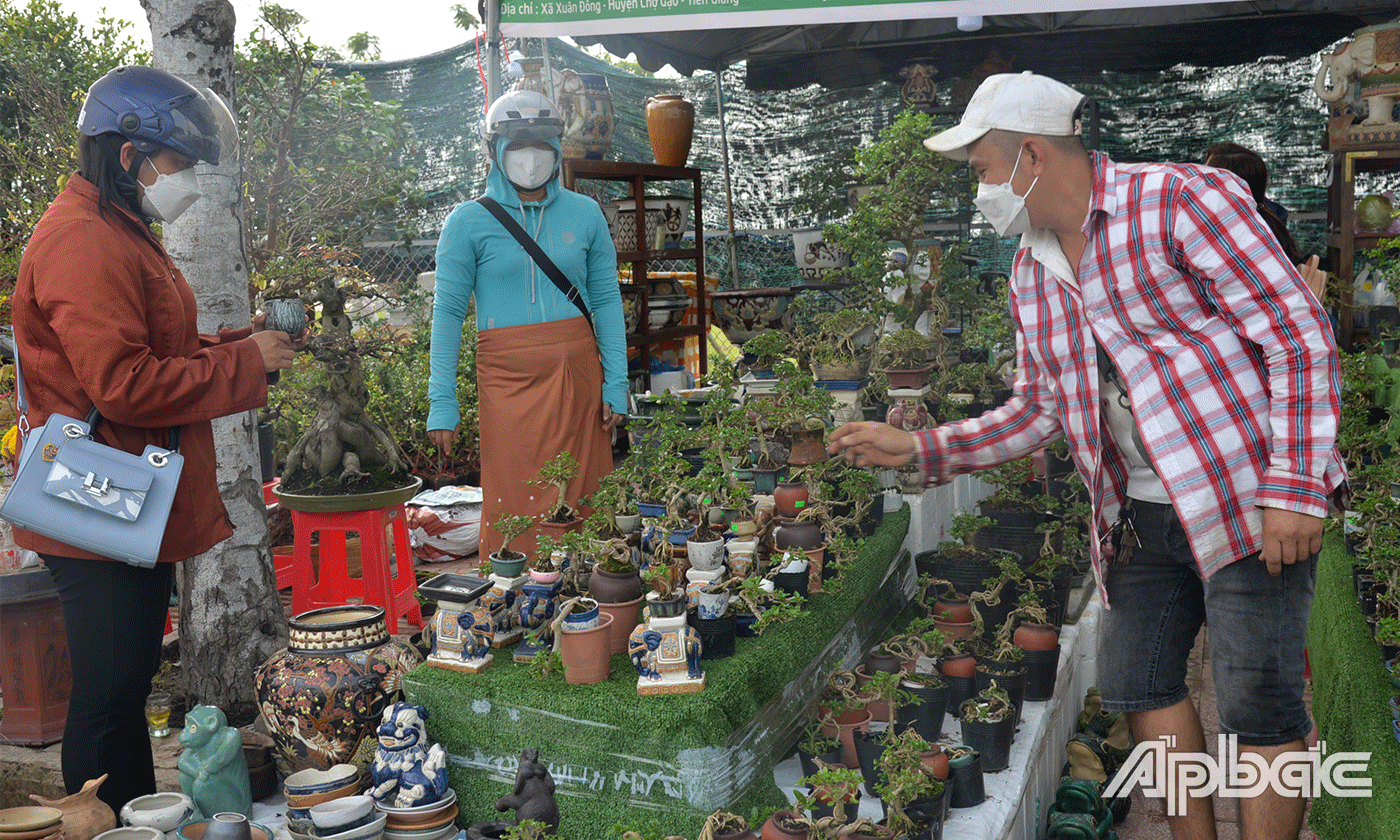 Người dân tham quan, mua sắn tại chợ hoa Mỹ Tho.