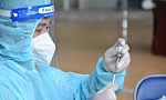 Thăm dò dư luận xã hội 