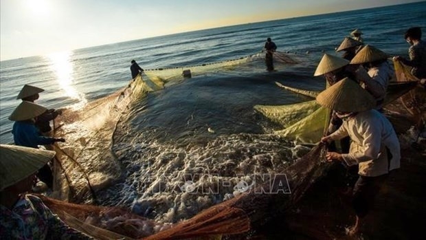 Vietnam to develop sustainable, responsible fishery (Photo: VNA).