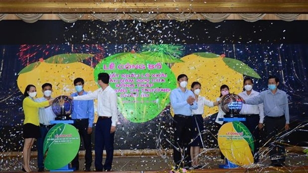 The Mekong province of Dong Thap held a ceremony on February 19 to announce the export of the first batch of mangoes to the European market in 2022. (Photo: VNA).