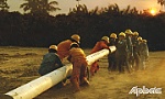 Công ty Điện lực Tiền Giang: Góp công 