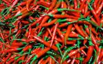 Vietnamese fresh chili approved for export to China