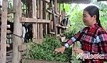 Huyện Cai Lậy: Vai trò hội viên phụ nữ trong xây dựng nông thôn mới