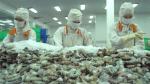 Shrimp exports to fetch over 4 billion USD this year