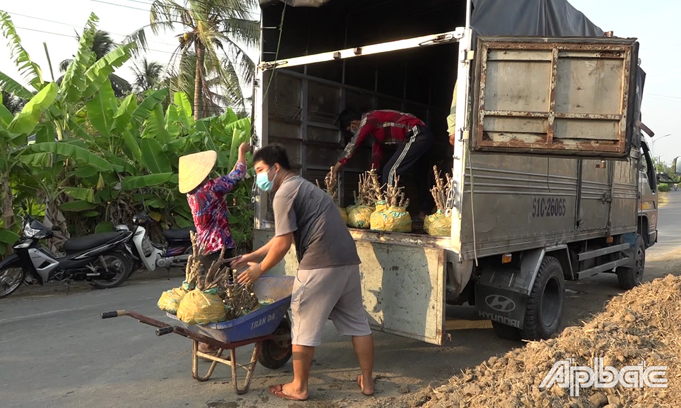 Mai nu chiếu thủy Gò Công