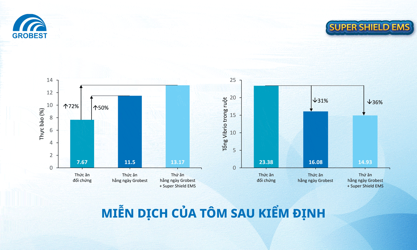 Một số kết quả sau kiểm định.