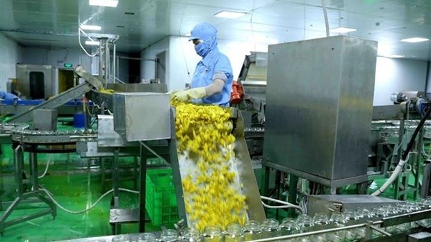 A chili packing line for export in Vietnam (Photo: VNA).