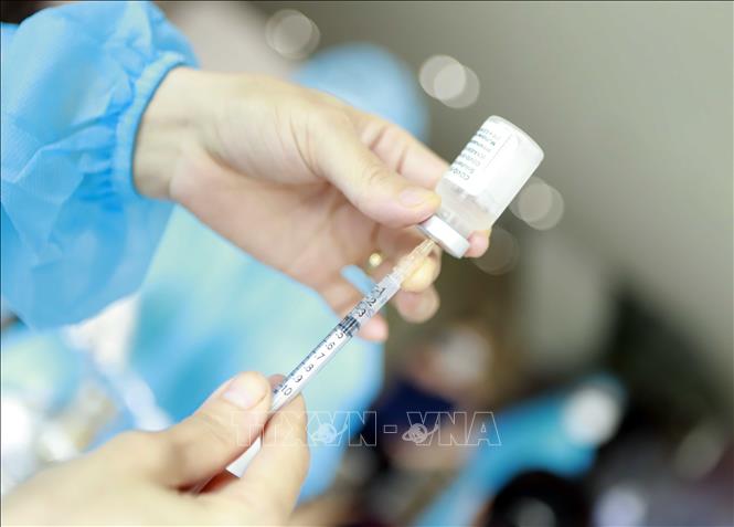 Vaccine phòng COVID-19 của Pfizer. Ảnh minh họa: TTXVN