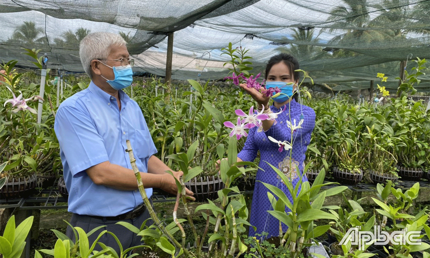 Phong lan có giá trị kinh tế cao.