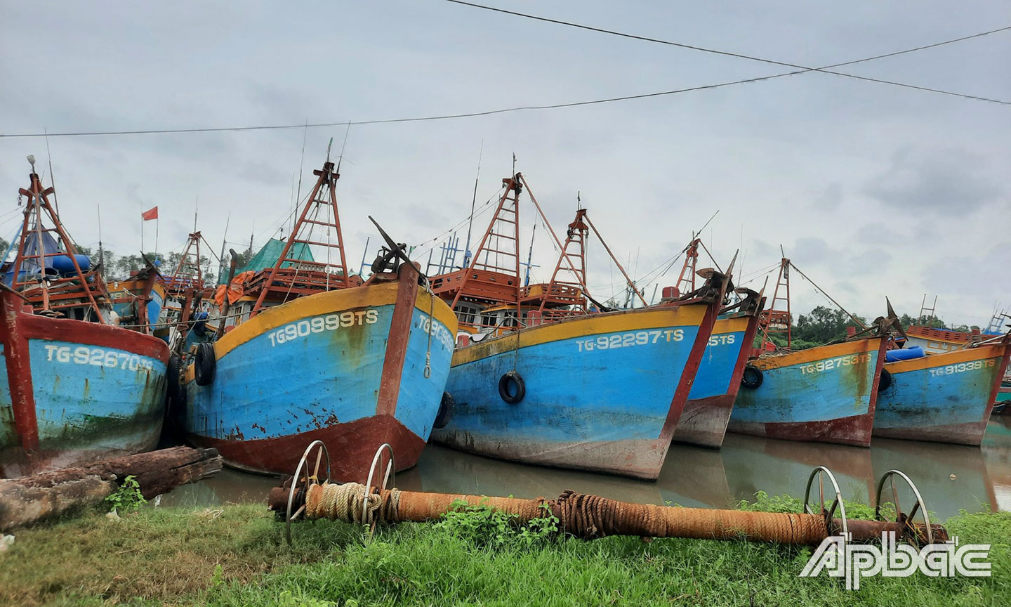 Nhiều tàu cá ở huyện Gò Công Đông gặp khó khăn do tác động của giá xăng, dầu.