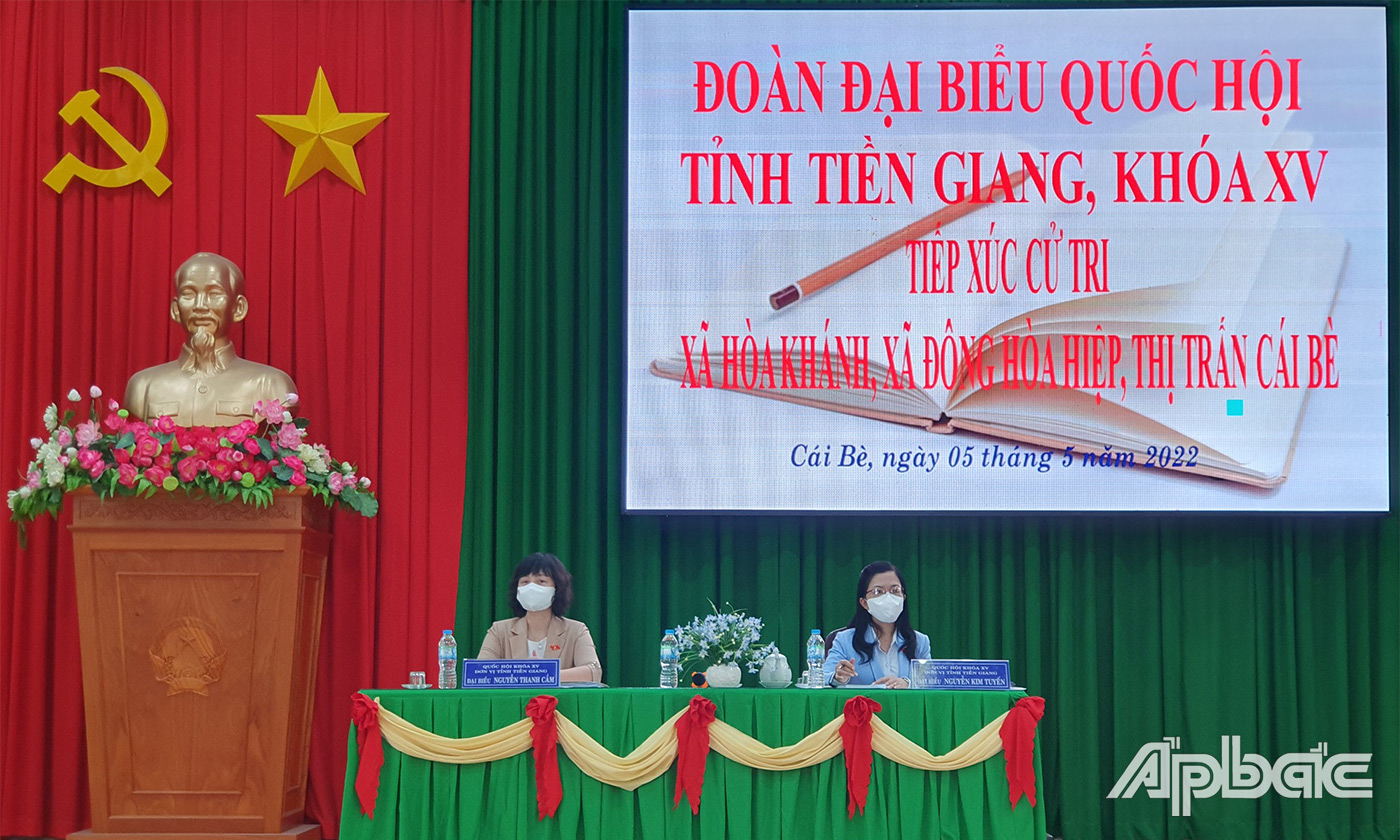 ĐBQH lắng nghe và ghi nhận ý kiến cử tri.