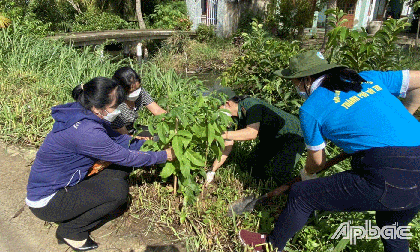 Trồng cây xanh tại khuôn viên Bia Ghi danh liệt sĩ xã Tân Thành.