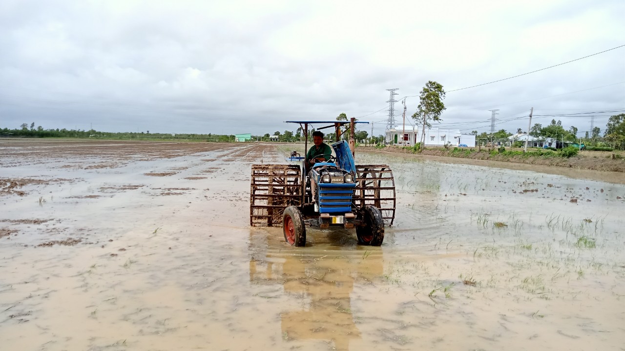nông dân huyện Gò Công Đông đang tất bật vệ sinh đồng ruộng chuẩn