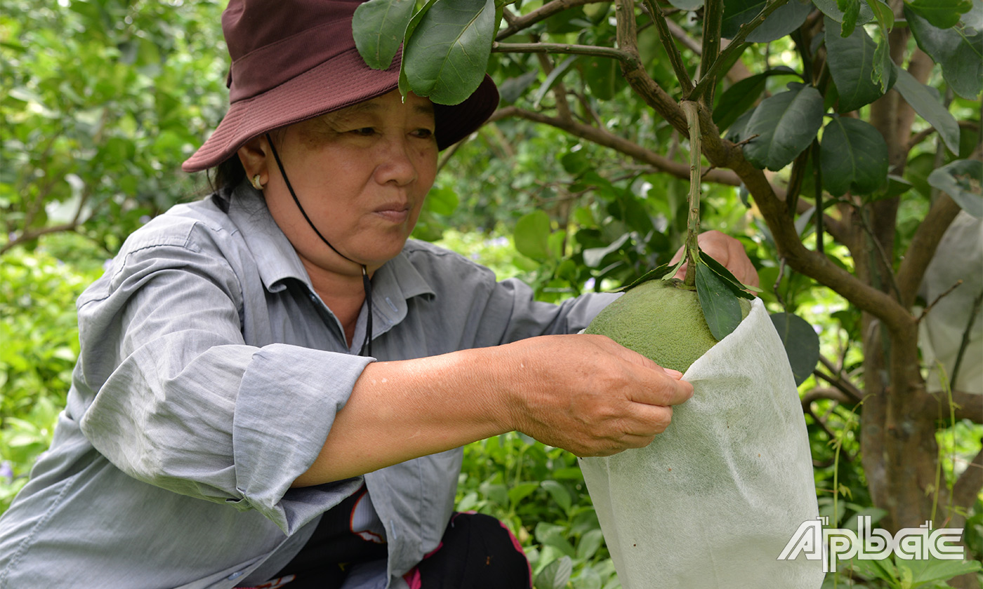 Tiền Giang hướng đến sản xuất sản phẩm sạch