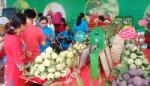 Thai Nguyen promotes consumption of sugar apples and local agricultural products