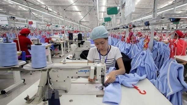 Seven-month index of industrial production up 11.2% - Illustrative image (Photo: VNA).