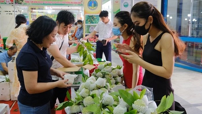 Promotion week introduces Lang Son’s custard apple to Hanoi’s customers (Photo: VNA).