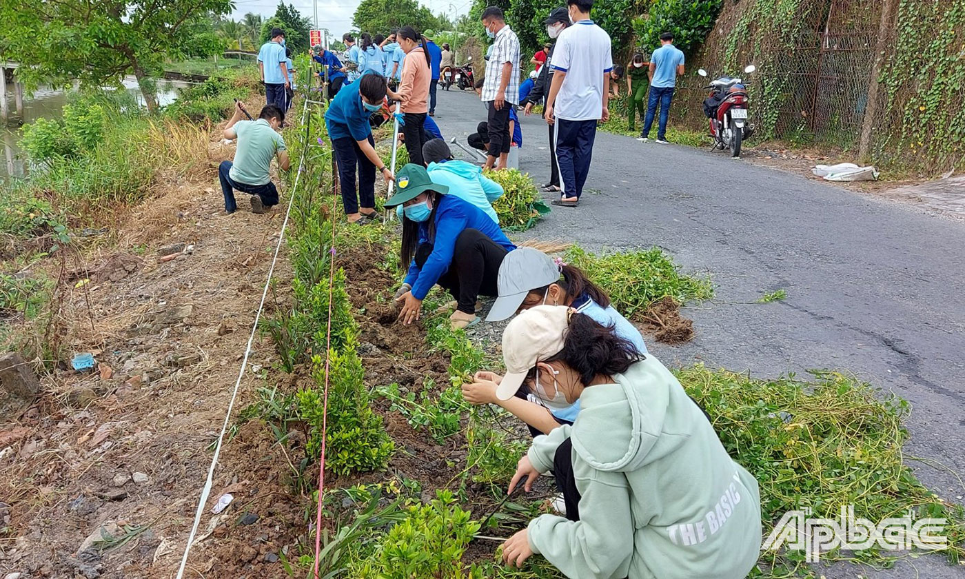 bạn đoàn viên, thanh niên và chiến sỹ hoa phượng đỏ đã tham gia trồng hoa và cây xanh 2 bên tuyến đường