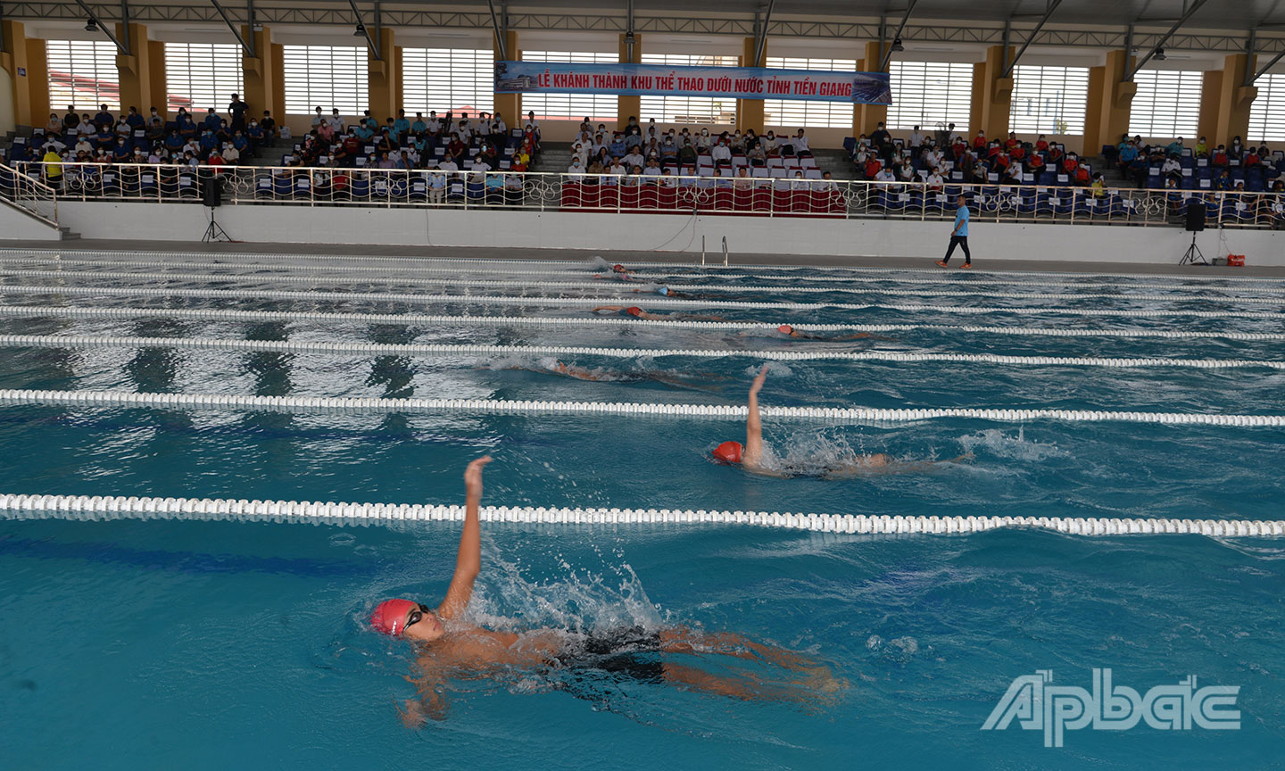 Các VĐV bơi biểu diễn tại Khu Thể thao dưới nước tỉnh.
